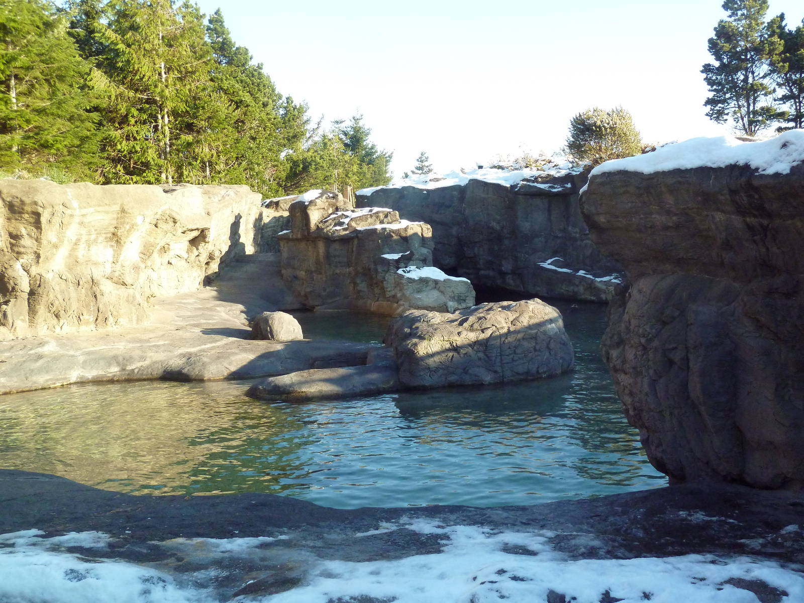 Sea Otter Exhibit - Outstanding!