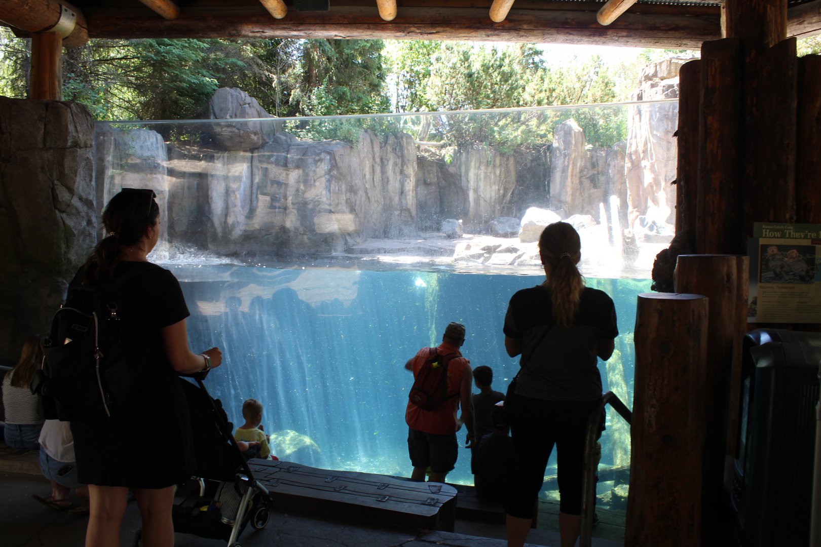 Sea Otter Exhibit - Russia's Grizzly Coast