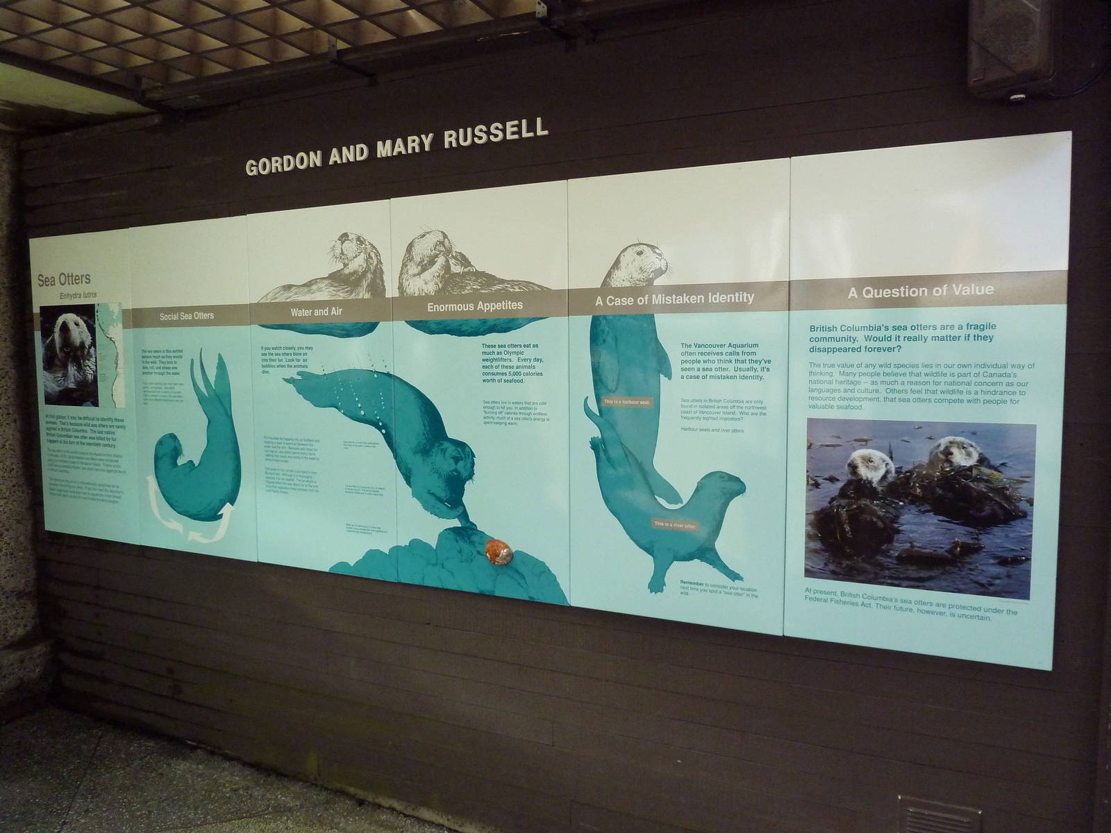 Sea Otter Exhibit - Signage