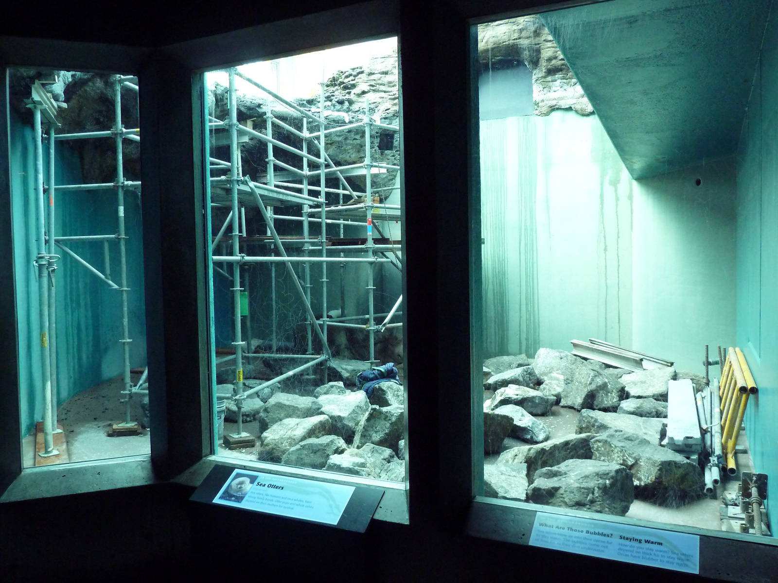 Sea Otter Exhibit (Under Renovation)