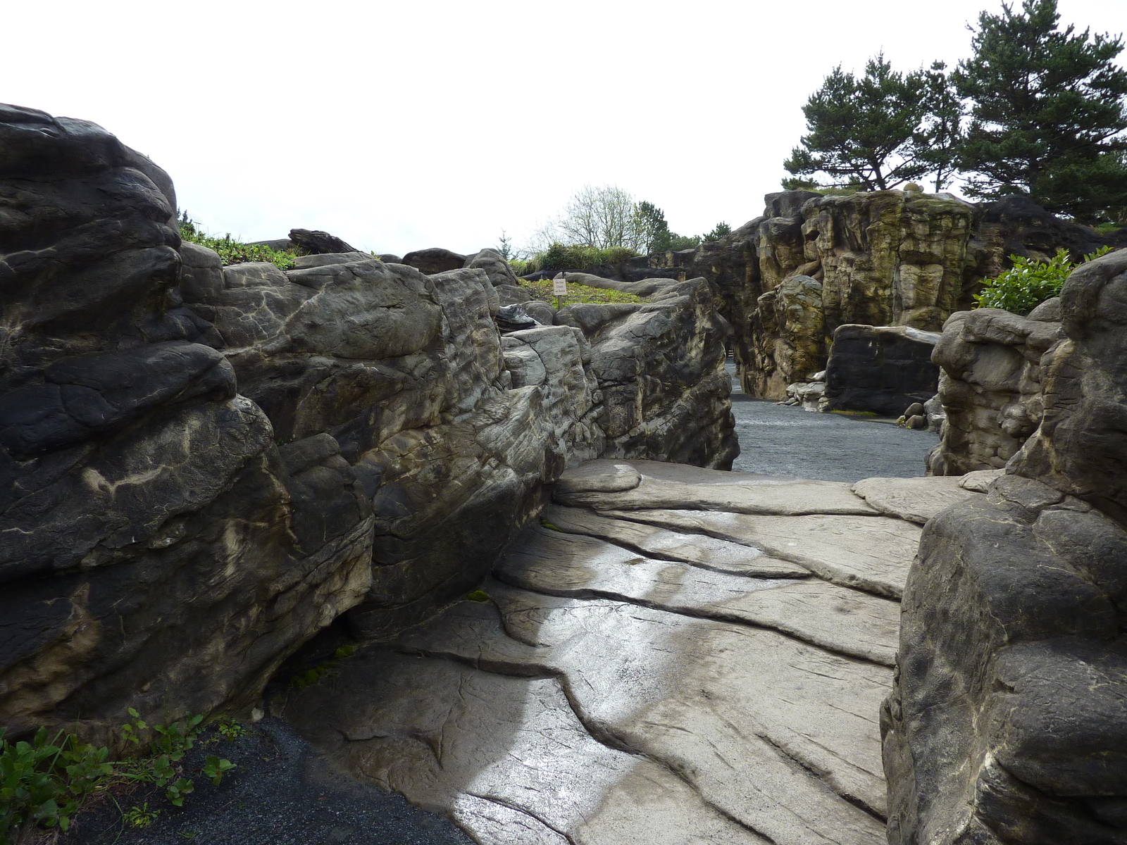 Sea Otter Exhibit - Viewing Platform
