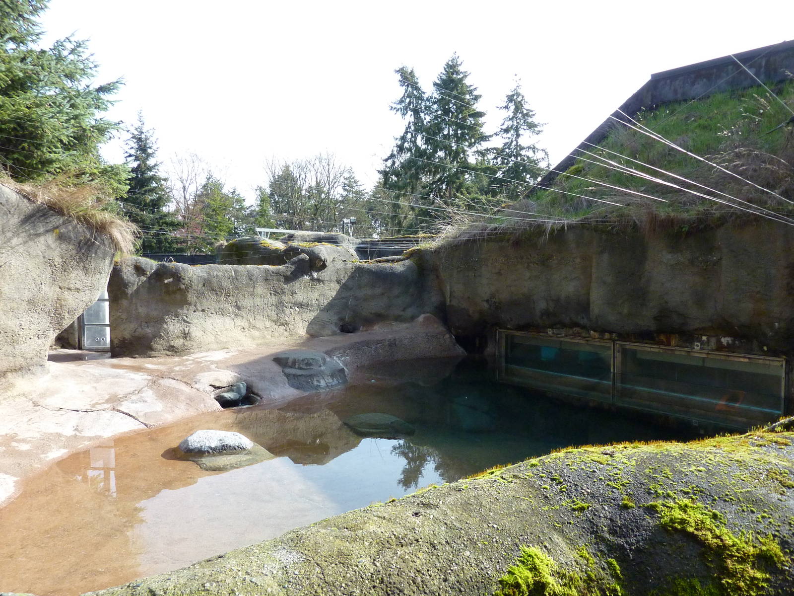 Sea Otter Exhibit