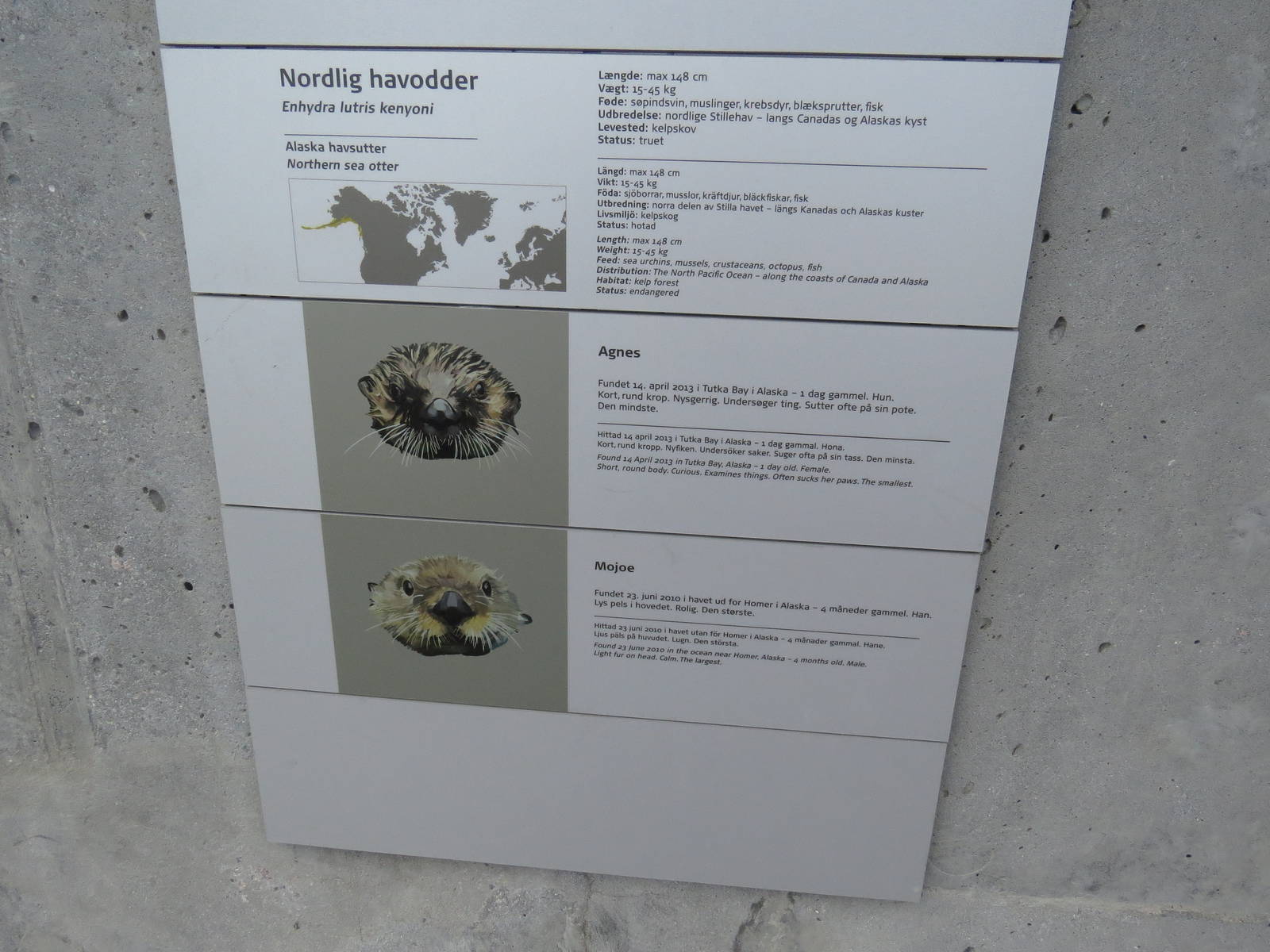 Sea otter labels, June 2015.