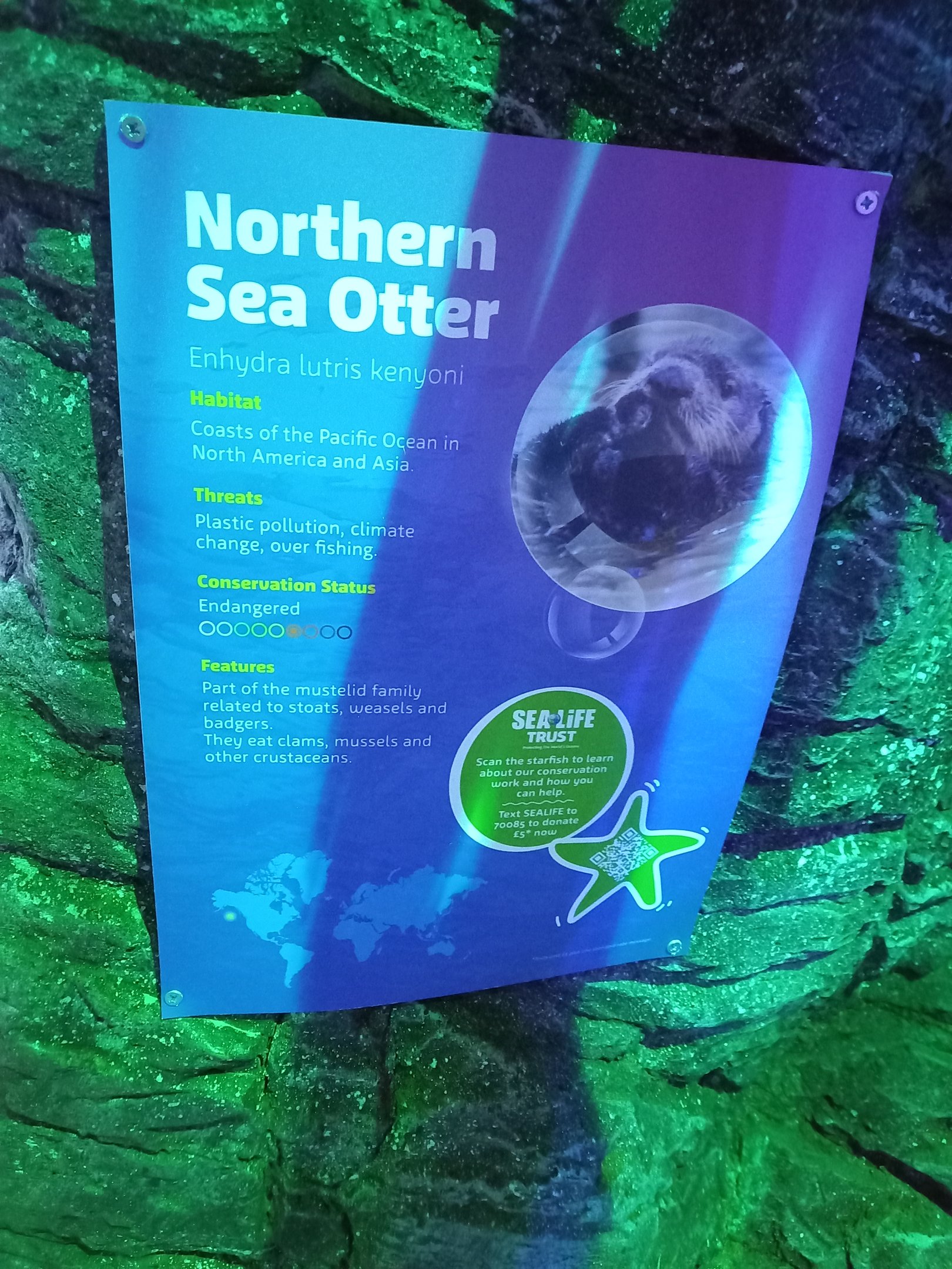 Sea otter signage