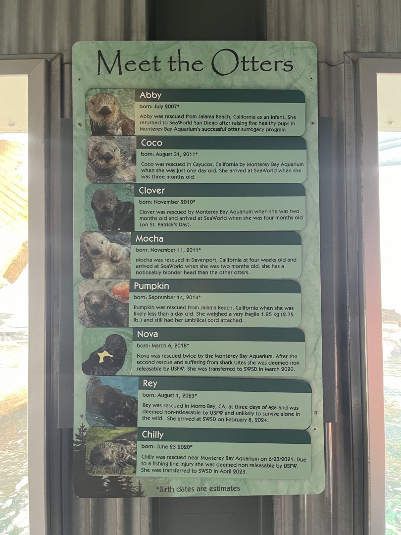 Sea Otter Signage