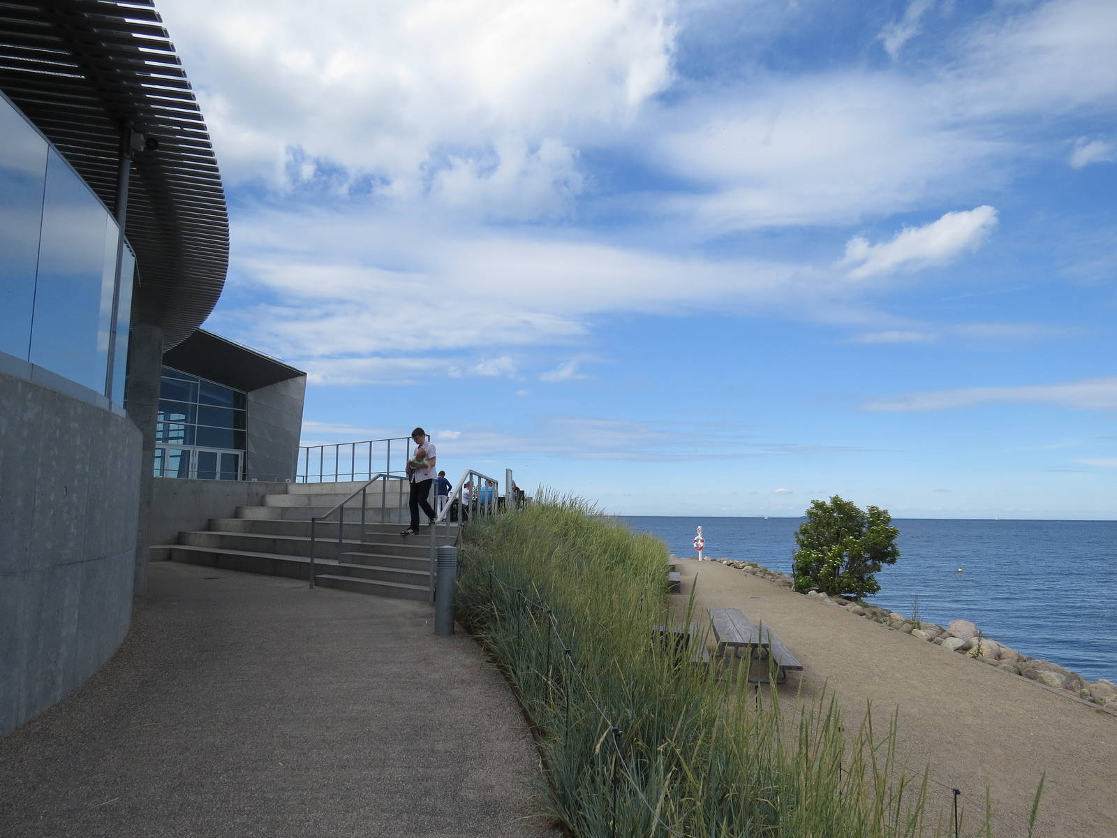 Sea otter viewing area, June 2015.