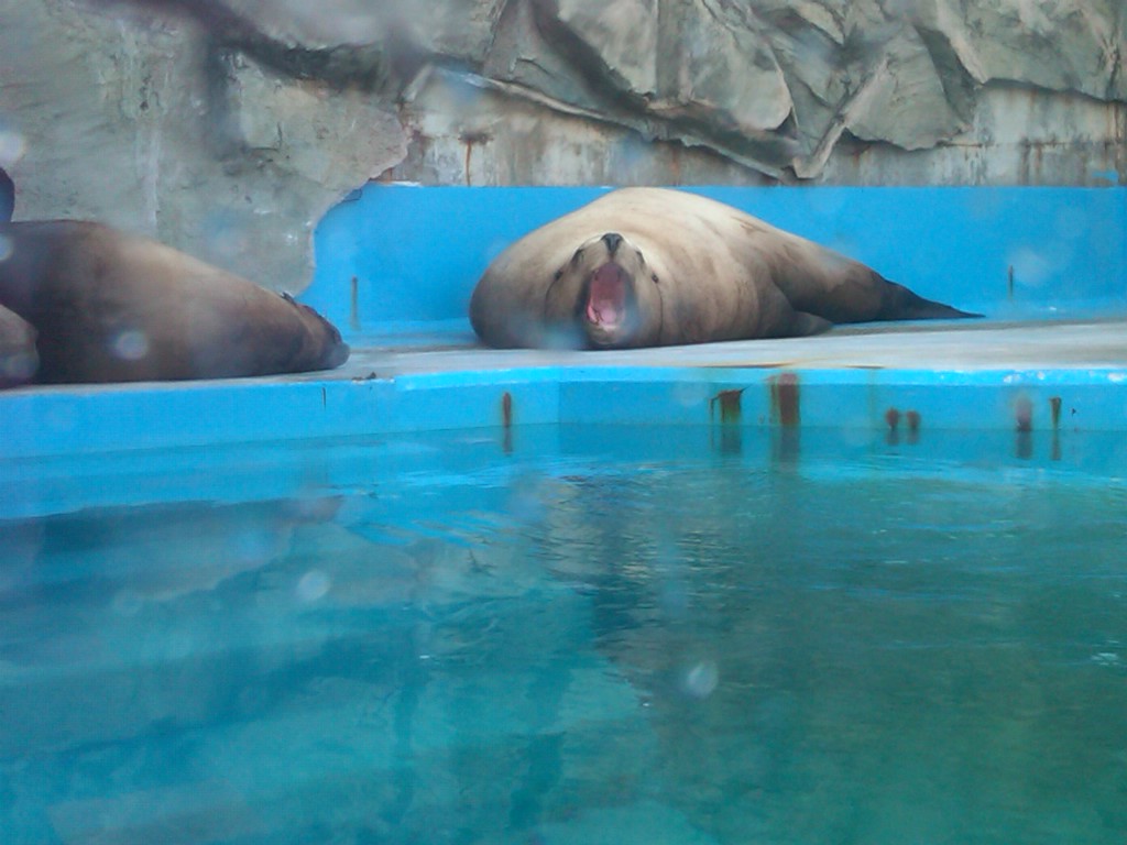 Sea Paradise - Toba Japan