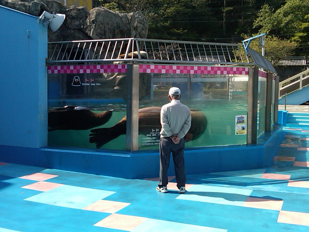 Sea Paradise - Toba Japan