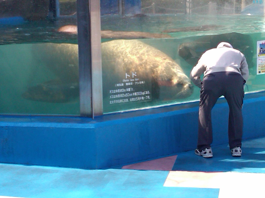 Sea Paradise - Toba Japan