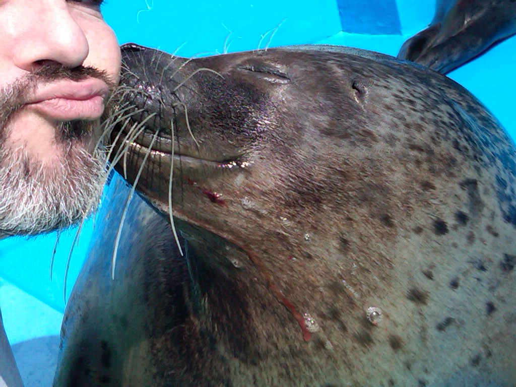 Sea Paradise - Toba Japan