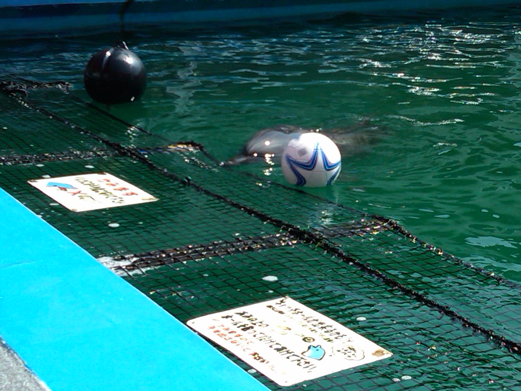 Sea Paradise - Toba Japan