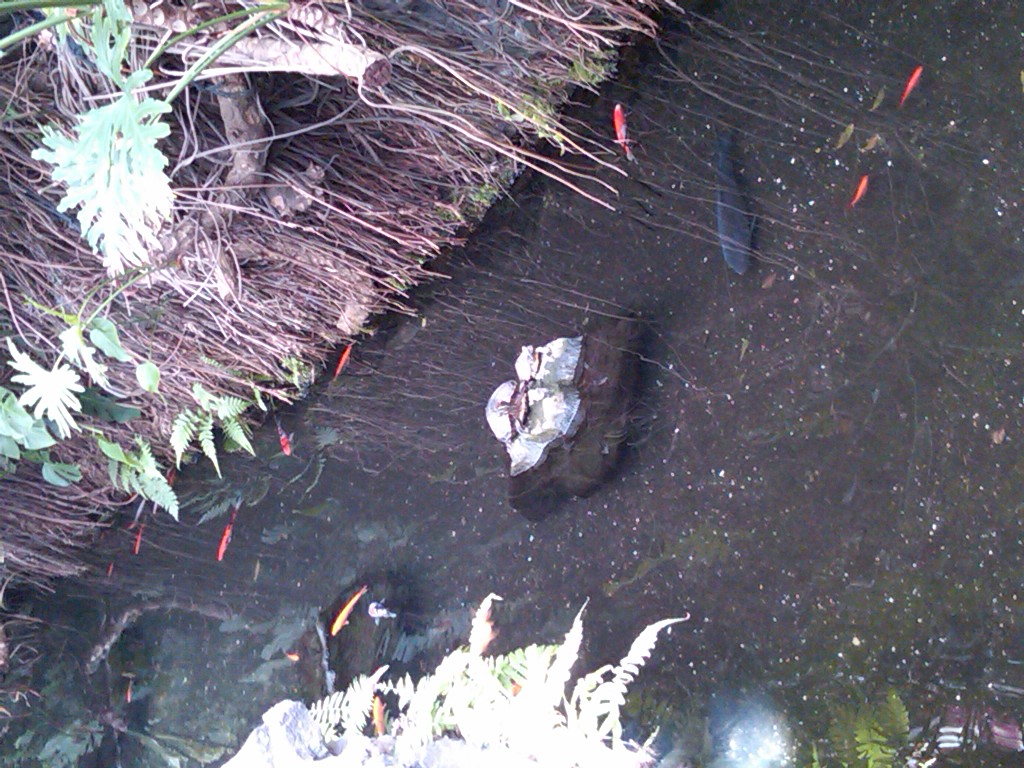 Sea Paradise - Toba Japan