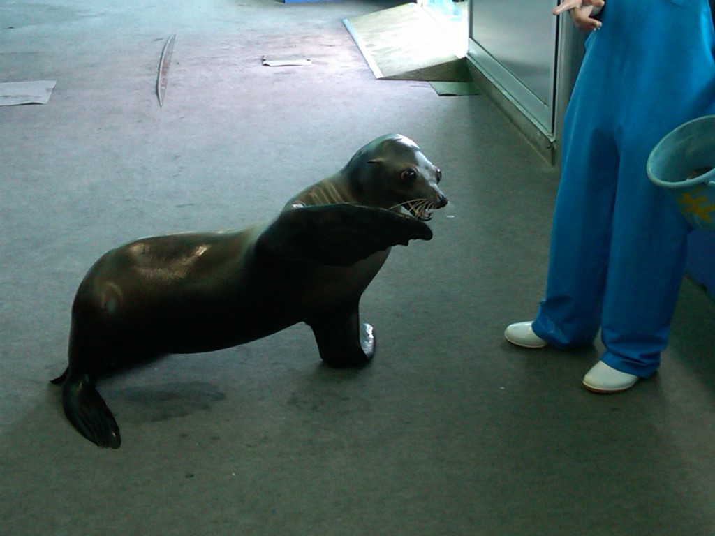 Sea Paradise - Toba Japan