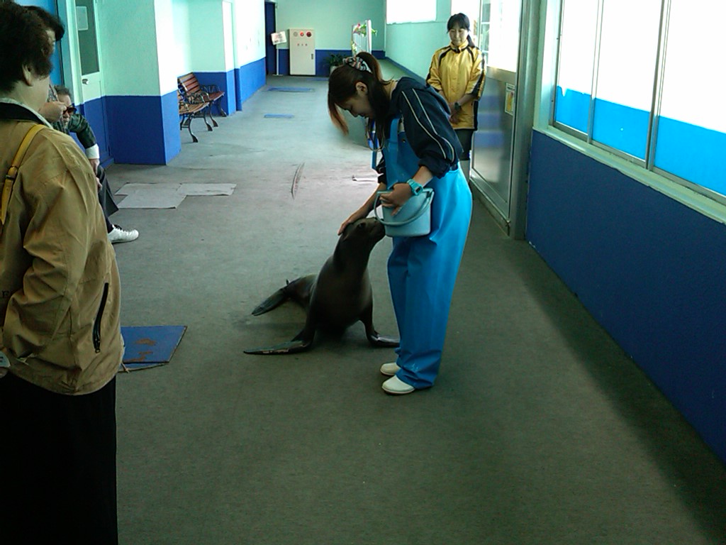 Sea Paradise - Toba Japan