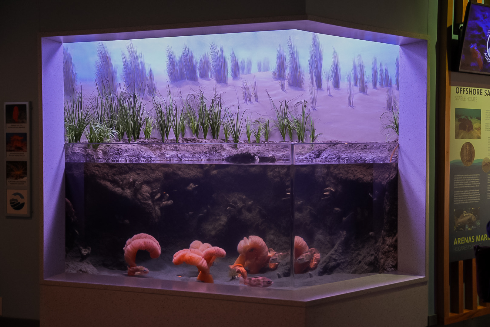 Sea Pen Tank