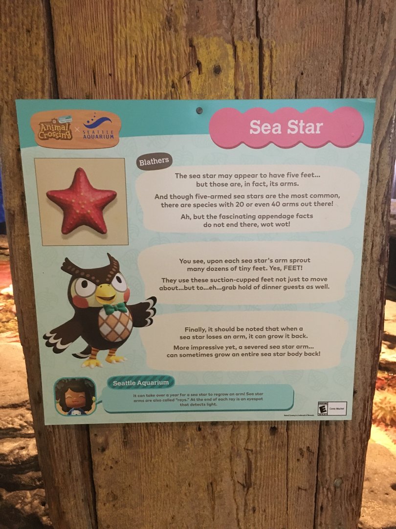 Sea Star Signage - Animal Crossing