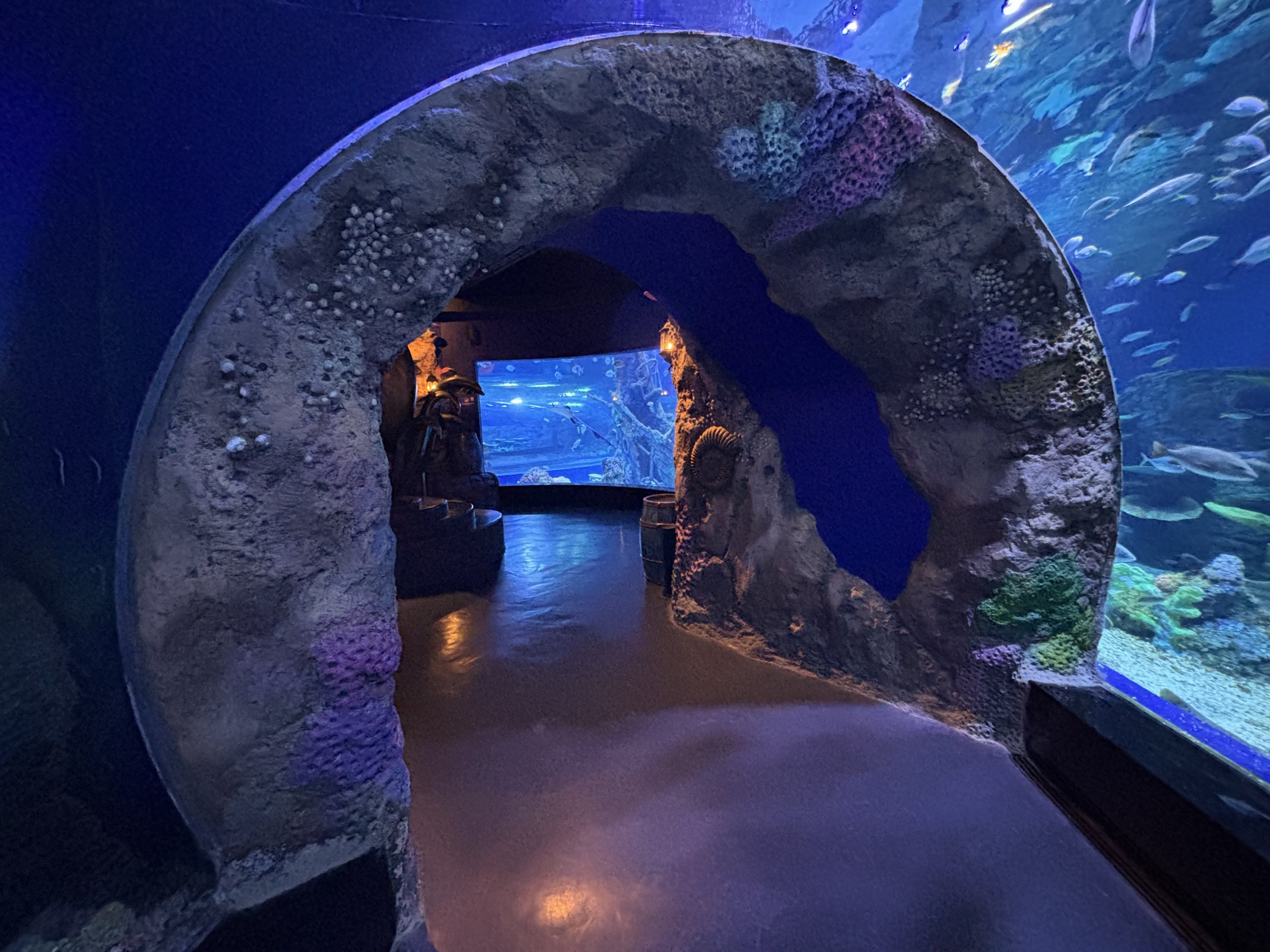 Sea Tunnel - BXSea Aquarium