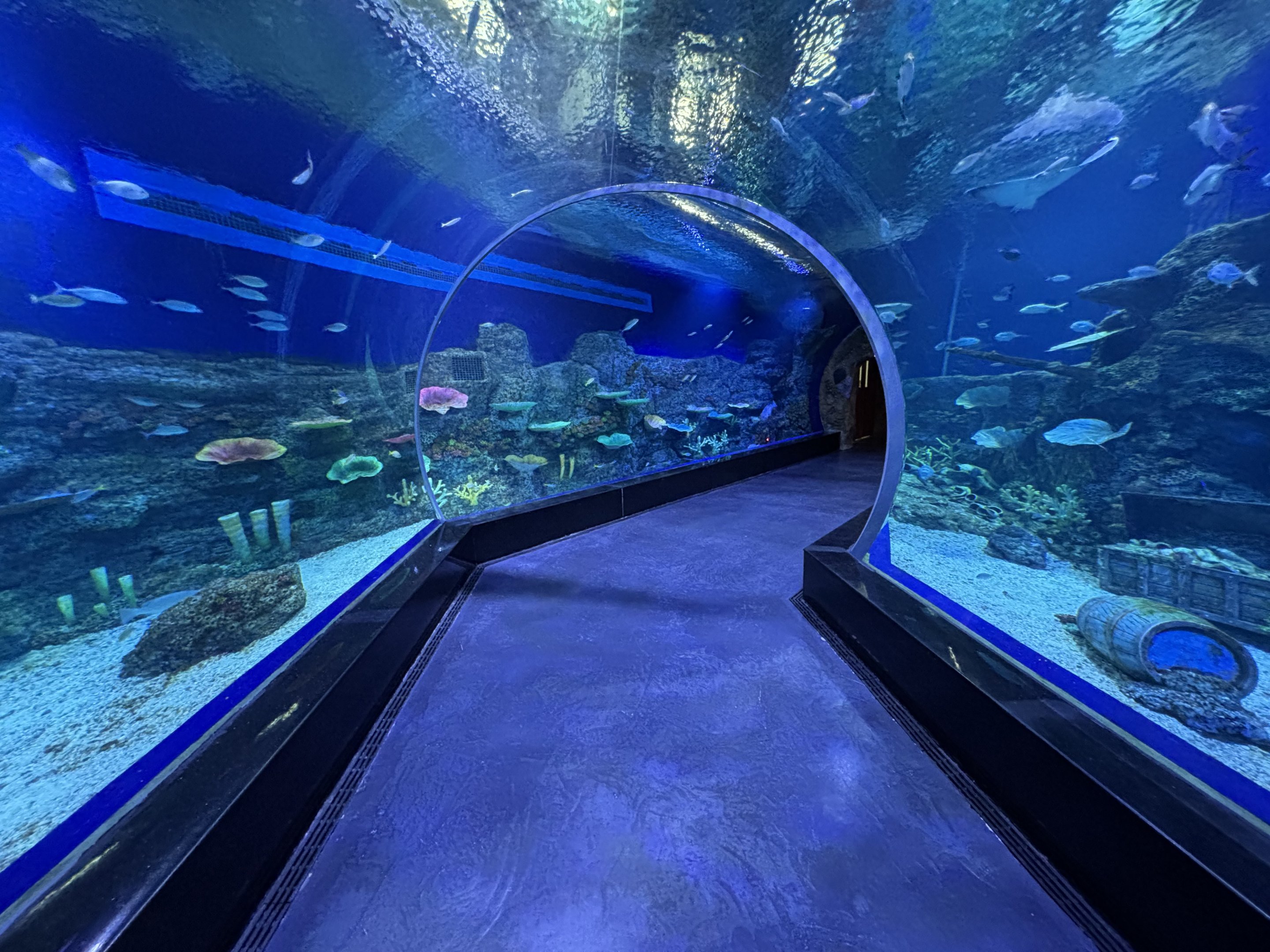 Sea Tunnel - BXSea Aquarium