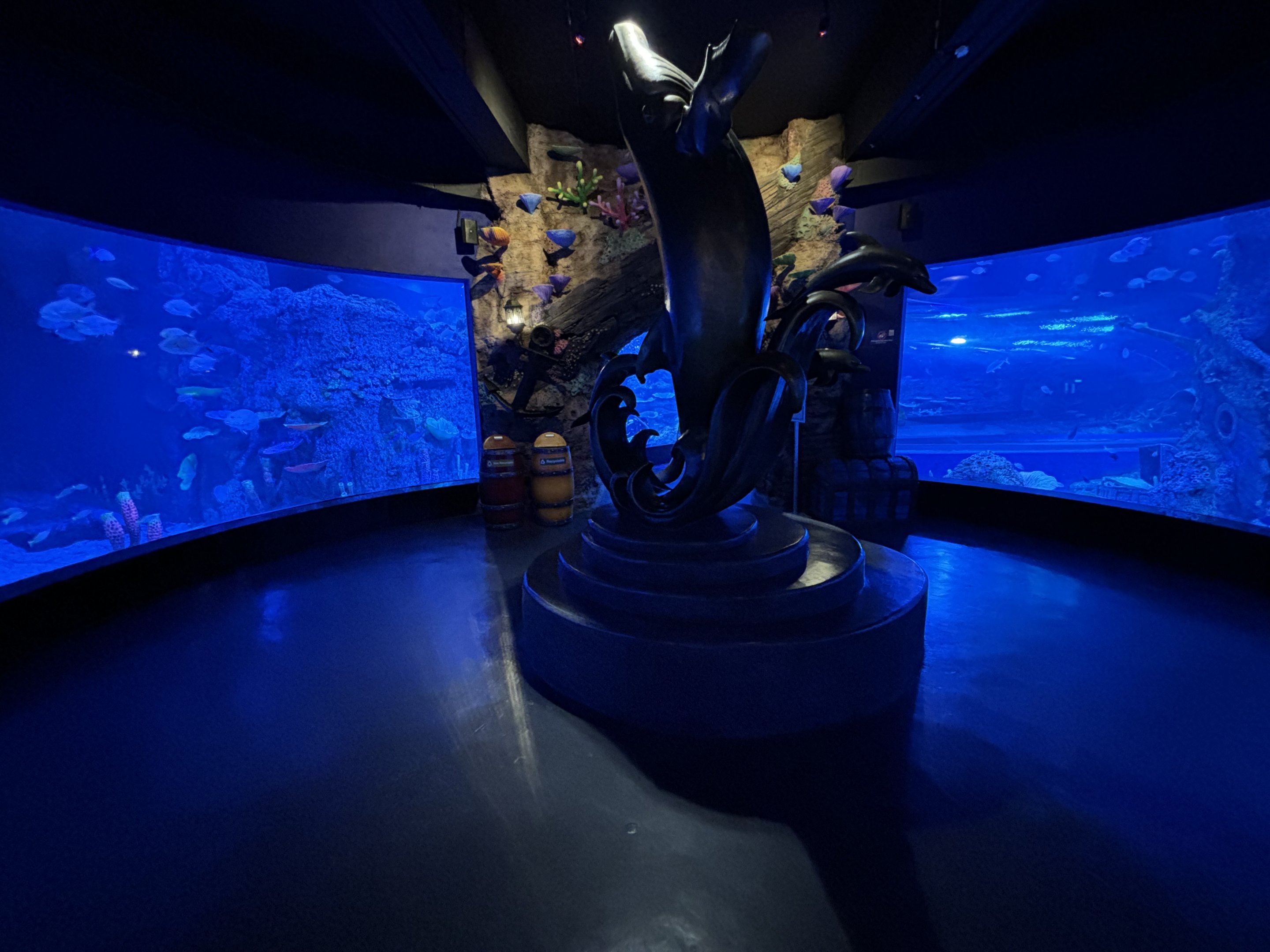 Sea Tunnel Centrepiece - BXSea Aquarium