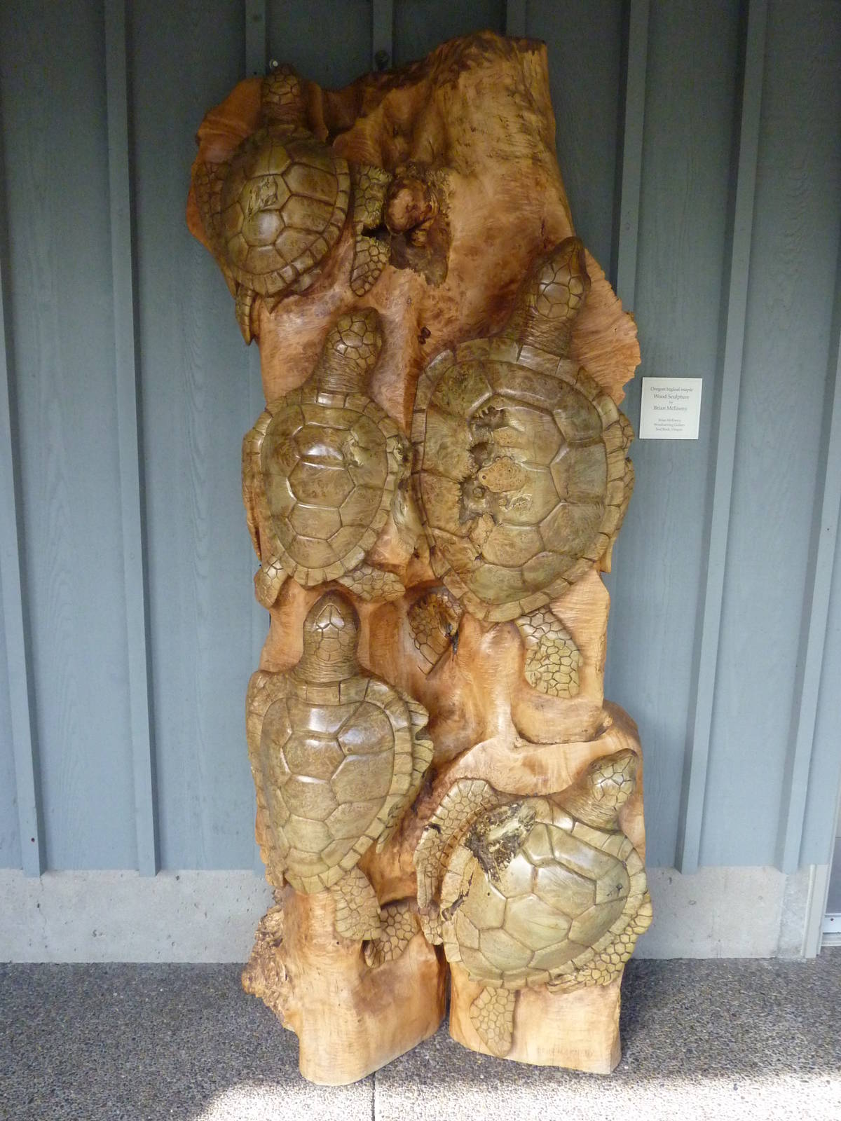 Sea Turtle Carving