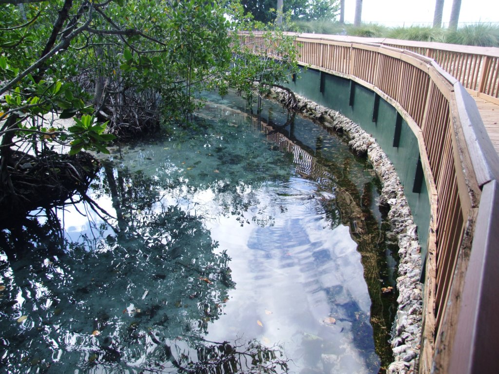 Sea Turtle Enclosure at Miami Seaquarium, 16/10/13