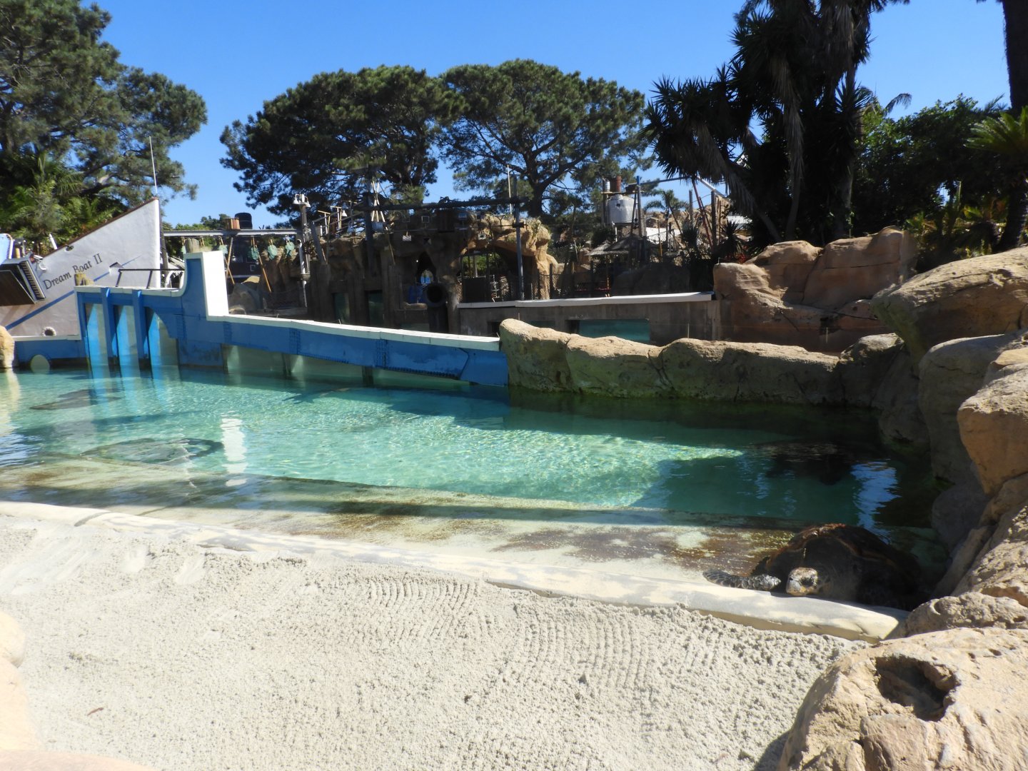 Sea turtle enclosure