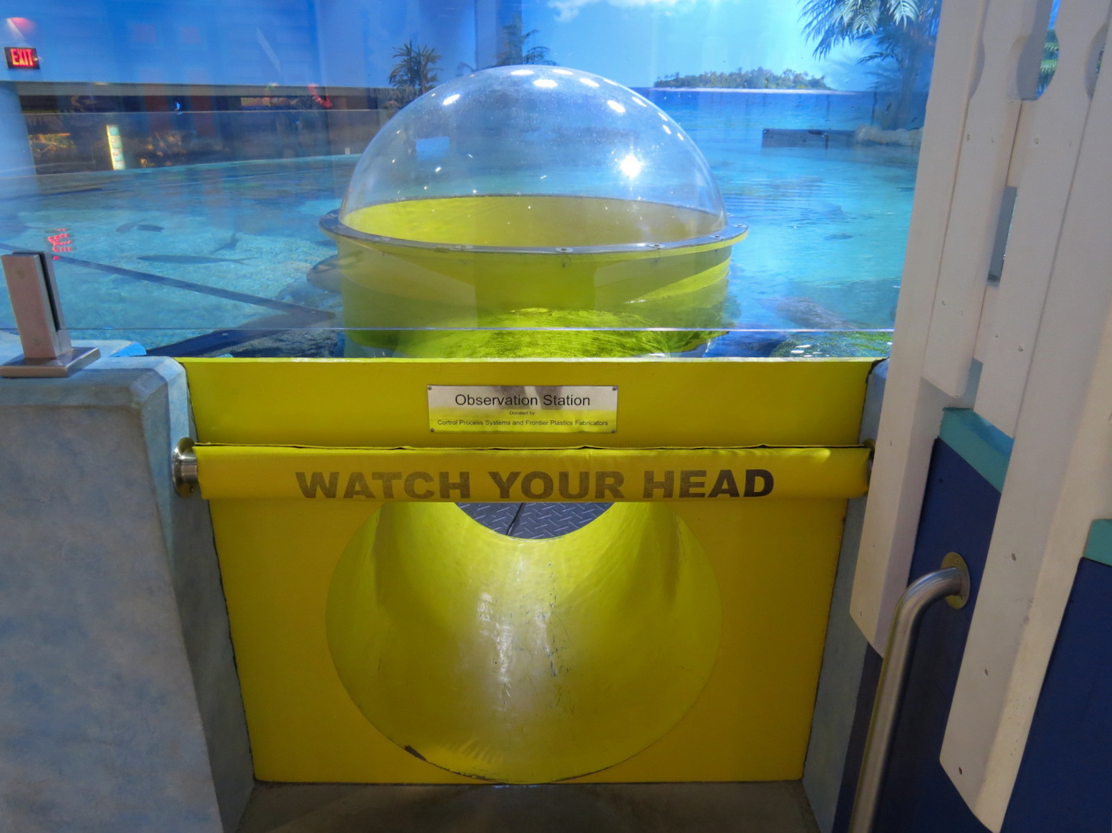 Sea Turtle Island Exhibit