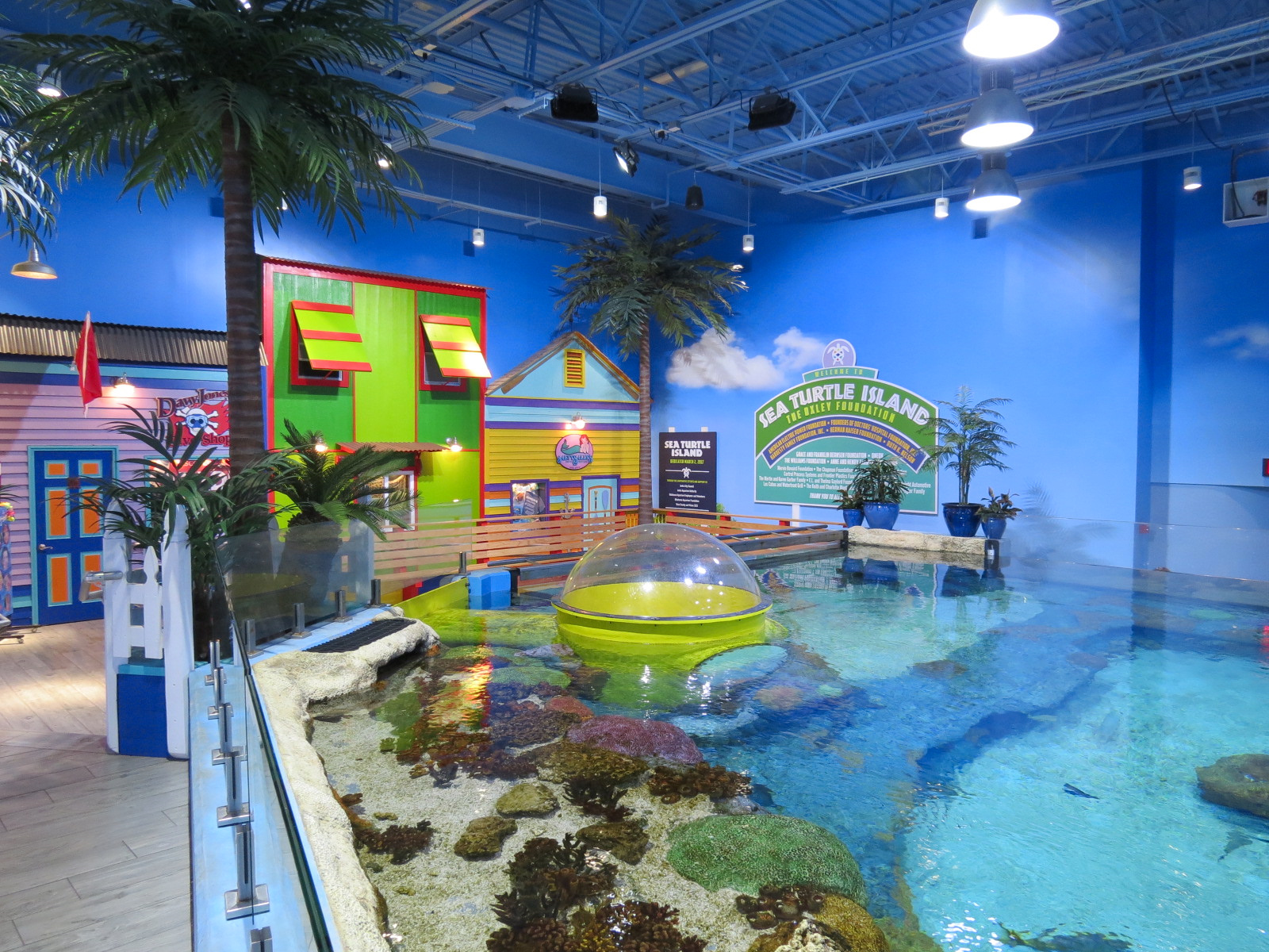 Sea Turtle Island Exhibit