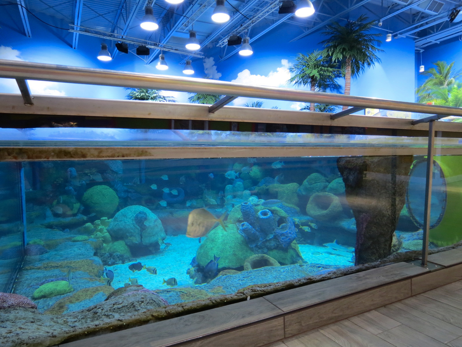 Sea Turtle Island Exhibit