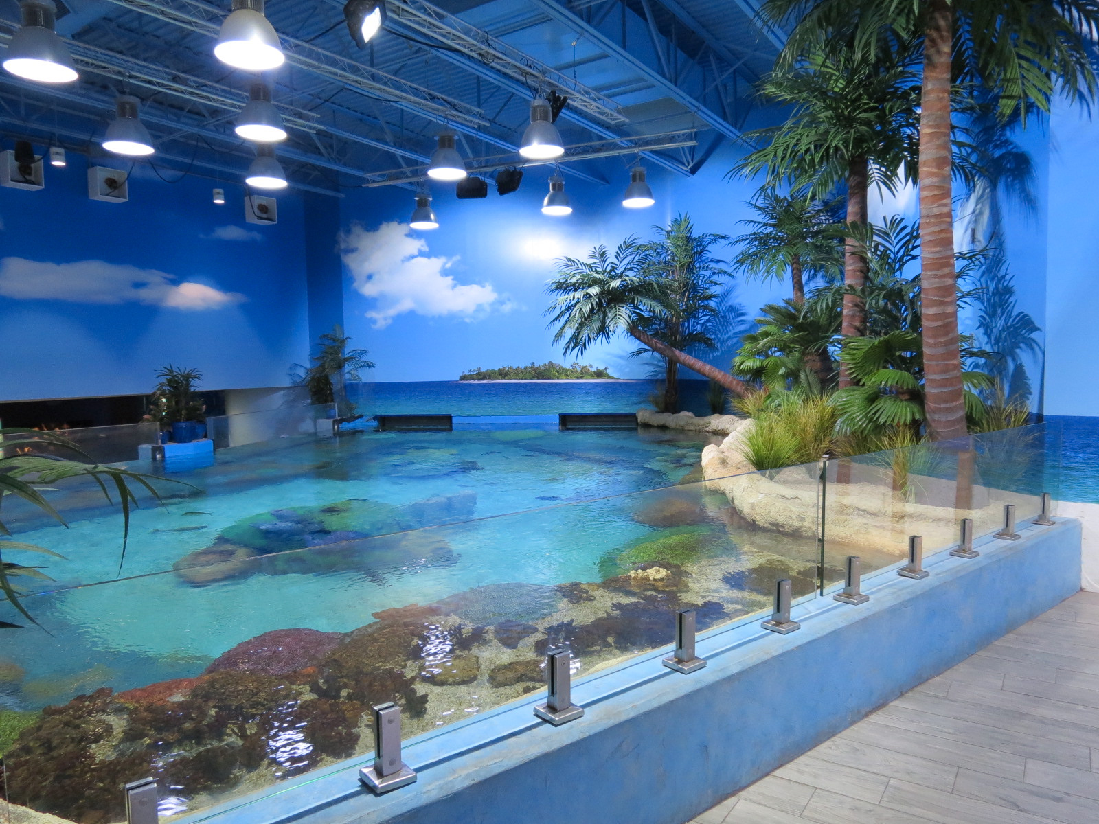 Sea Turtle Island Exhibit