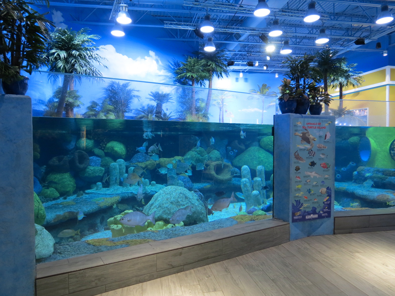 Sea Turtle Island Exhibit