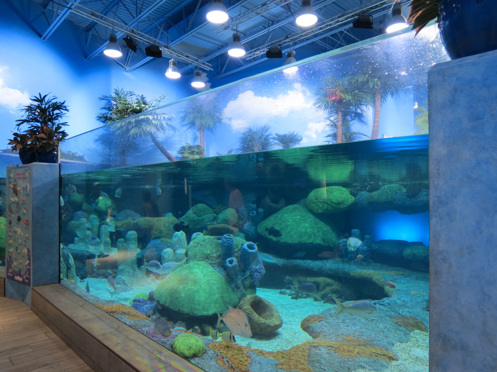 Sea Turtle Island Exhibit