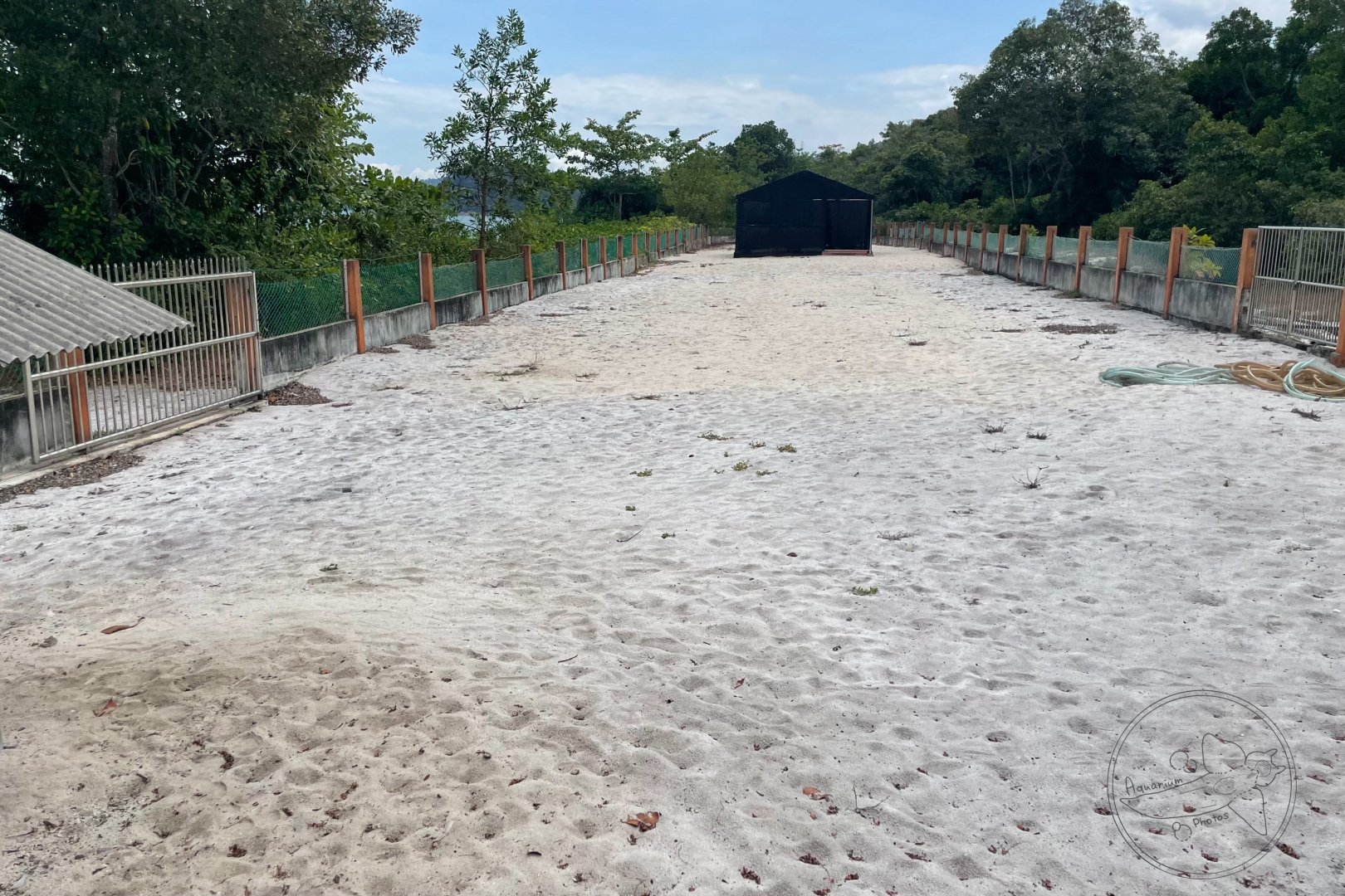 Sea Turtle Nesting Site