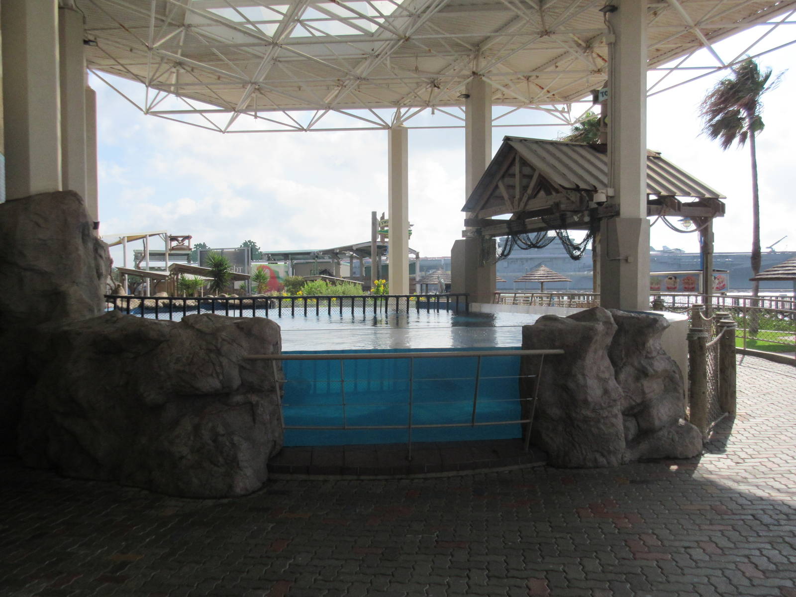 Sea Turtle Pools (4 Species)