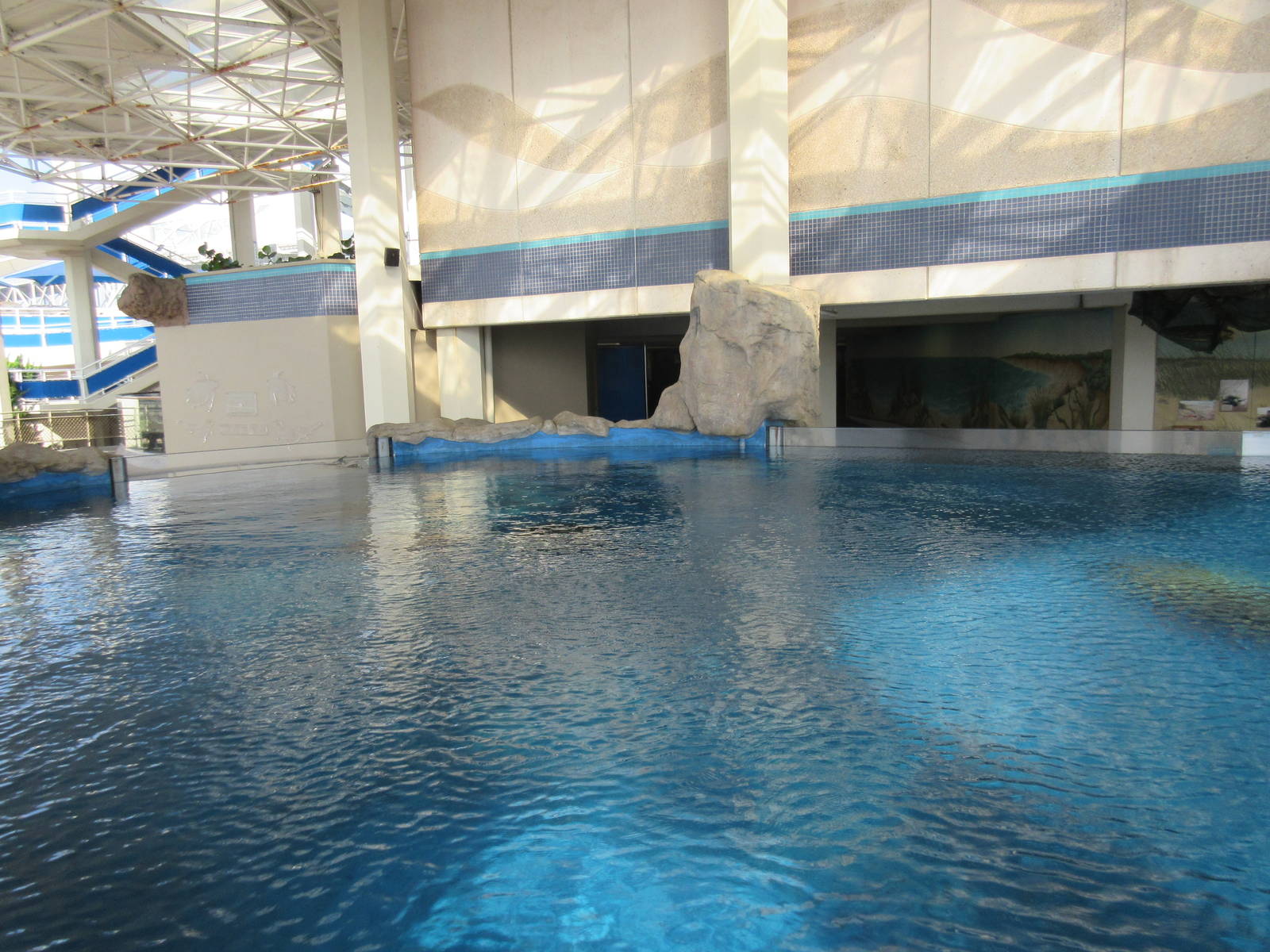 Sea Turtle Pools (4 Species)