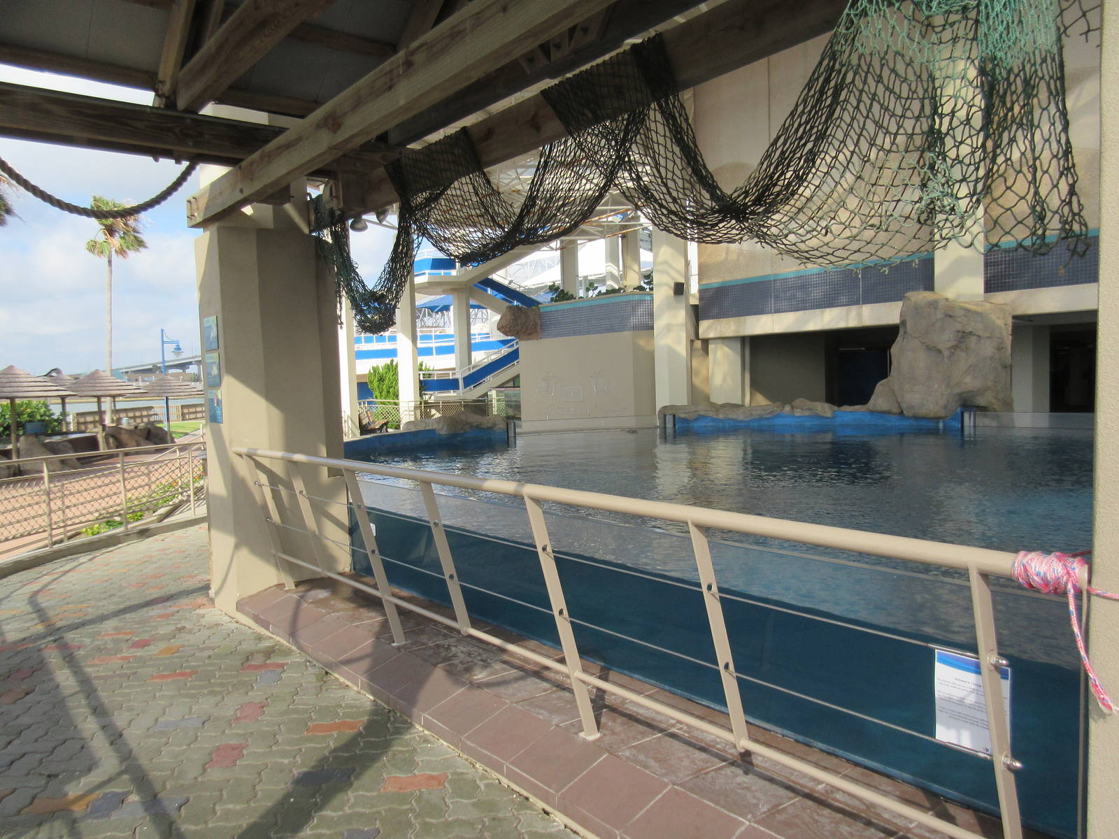 Sea Turtle Pools (4 Species)