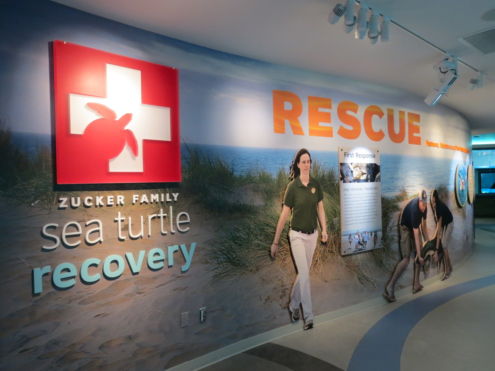 Sea Turtle Recovery - Entry