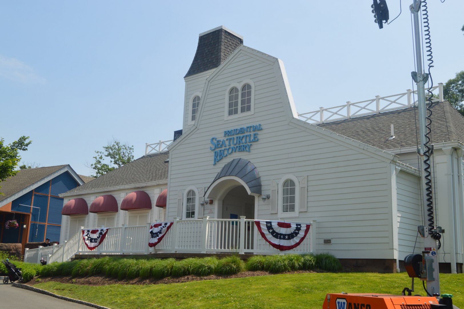 Sea Turtle Recovery - Exterior