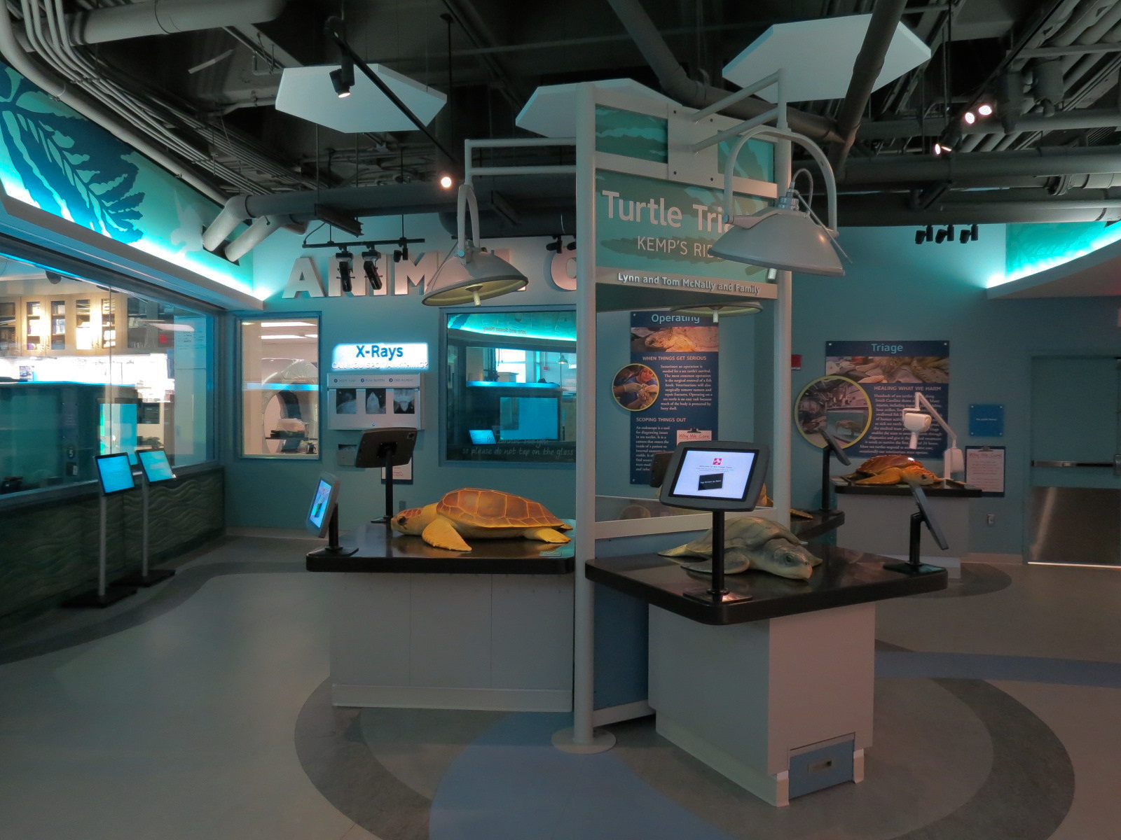 Sea Turtle Recovery - Interpretive Exhibits