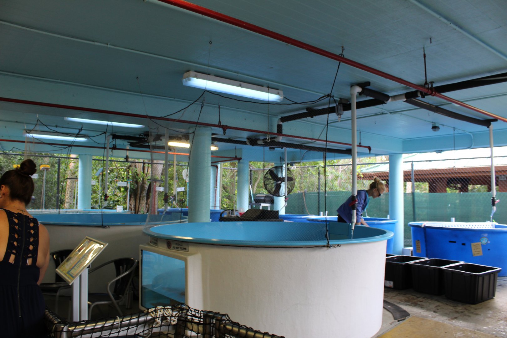 Sea Turtle Rehabilitation Center