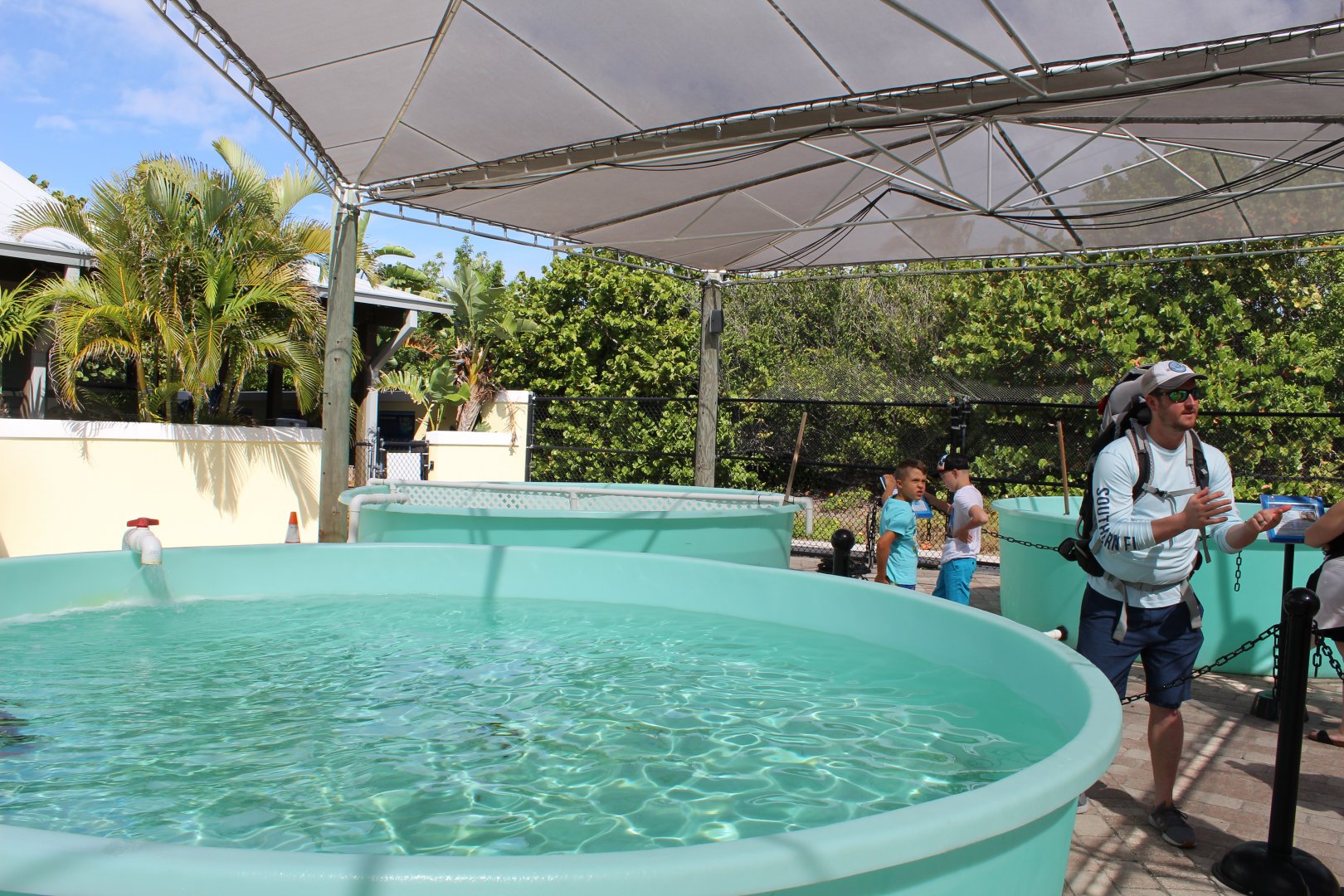 Sea Turtle Rehabilitation Pools