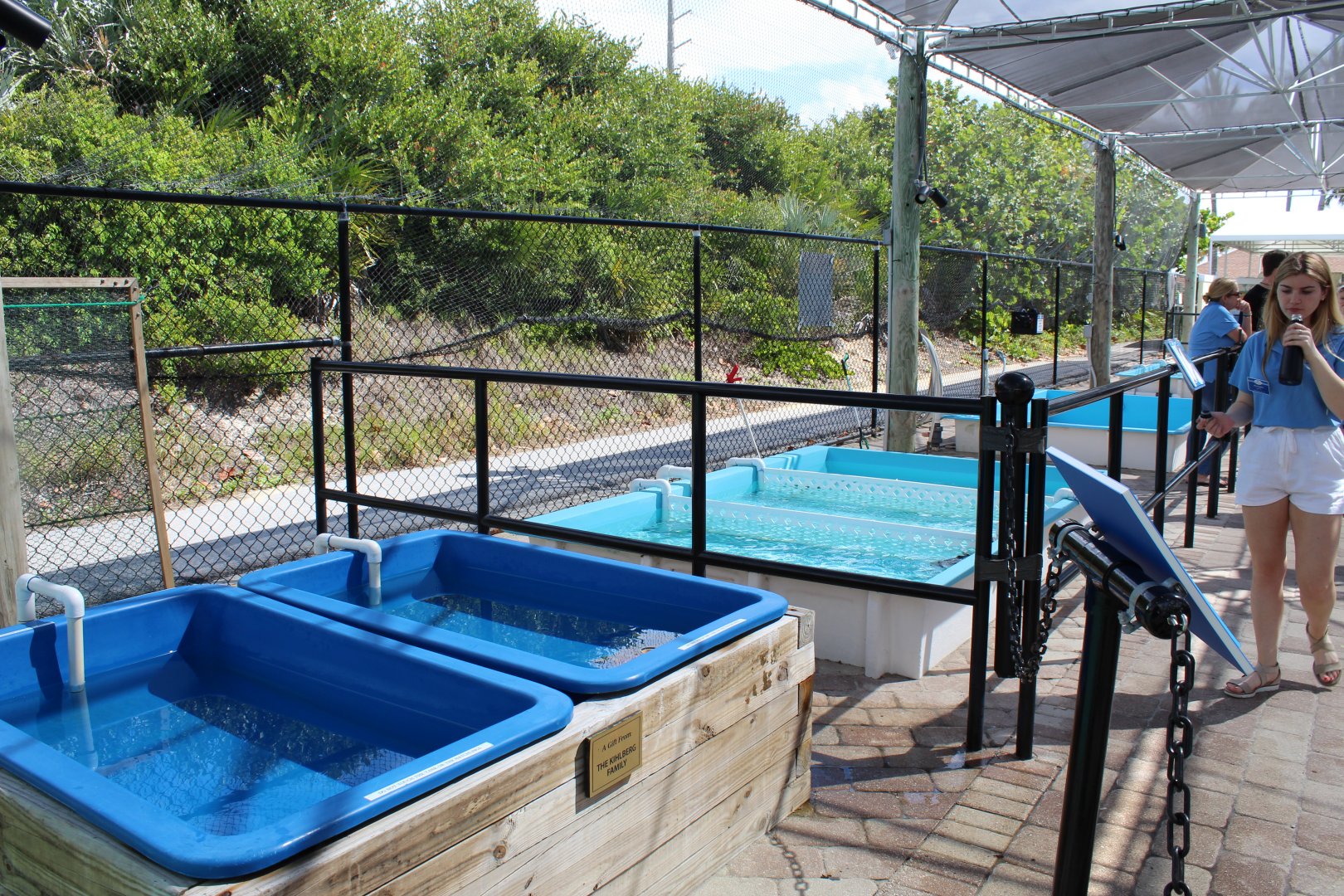 Sea Turtle Rehabilitation Pools