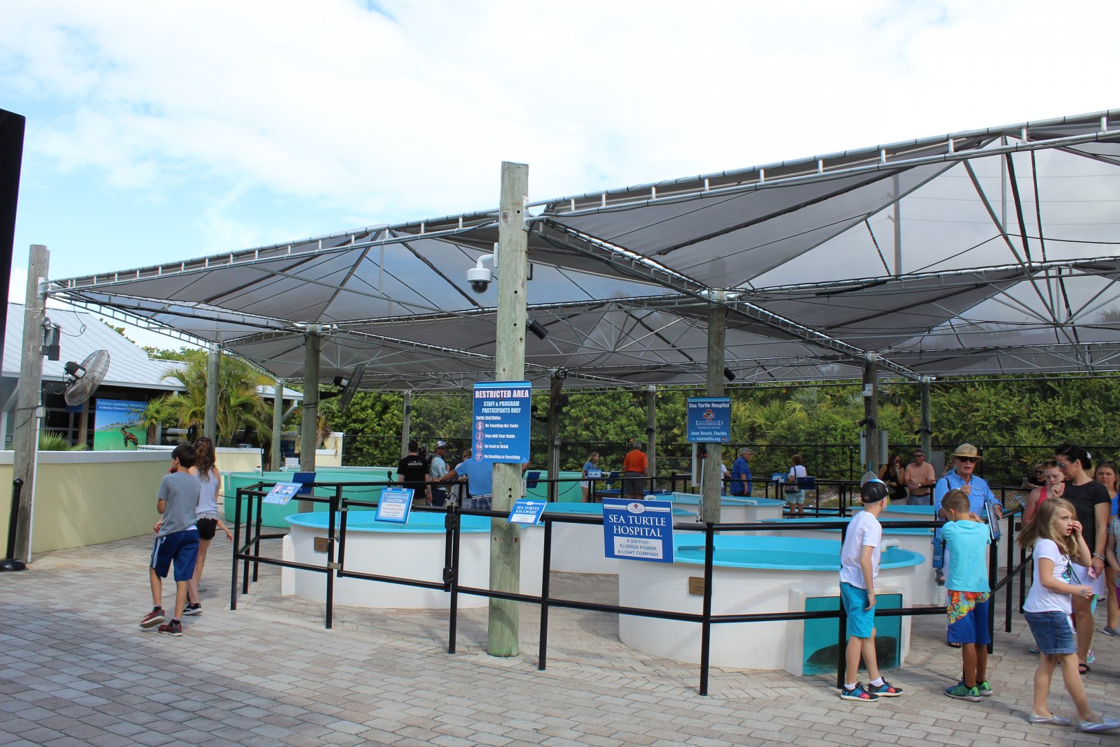Sea Turtle Rehabilitation Pools