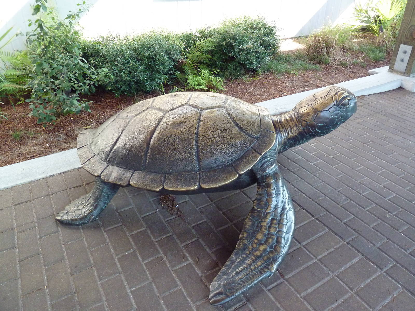 Sea Turtle Statue