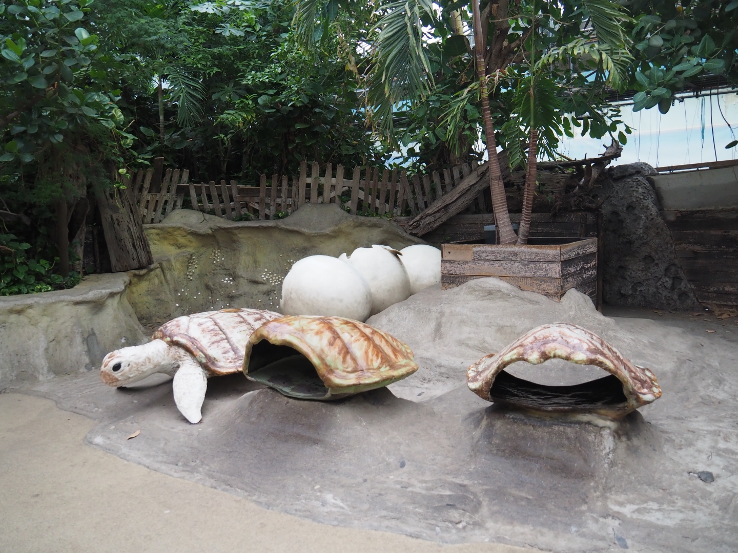 Sea turtle themed playground area (Nov 10th, 2018)