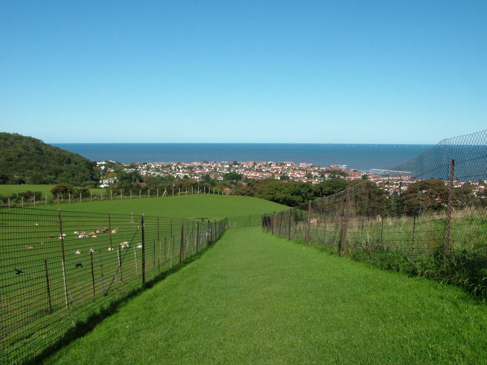 Sea view from the paddocks at the Welsh Mountain Zoo Oct 08
