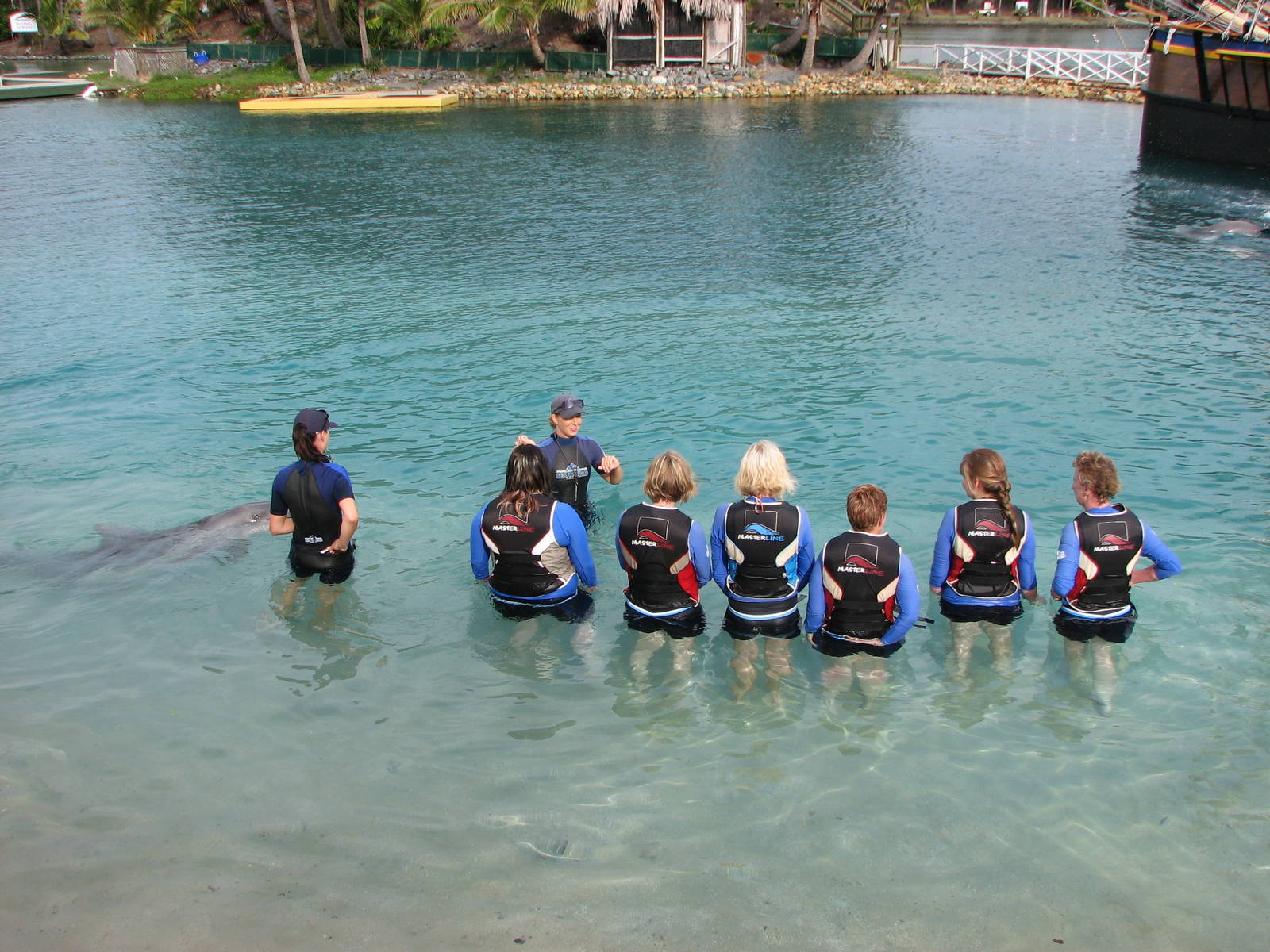 Sea World Gold Coast - Dolphin encounter