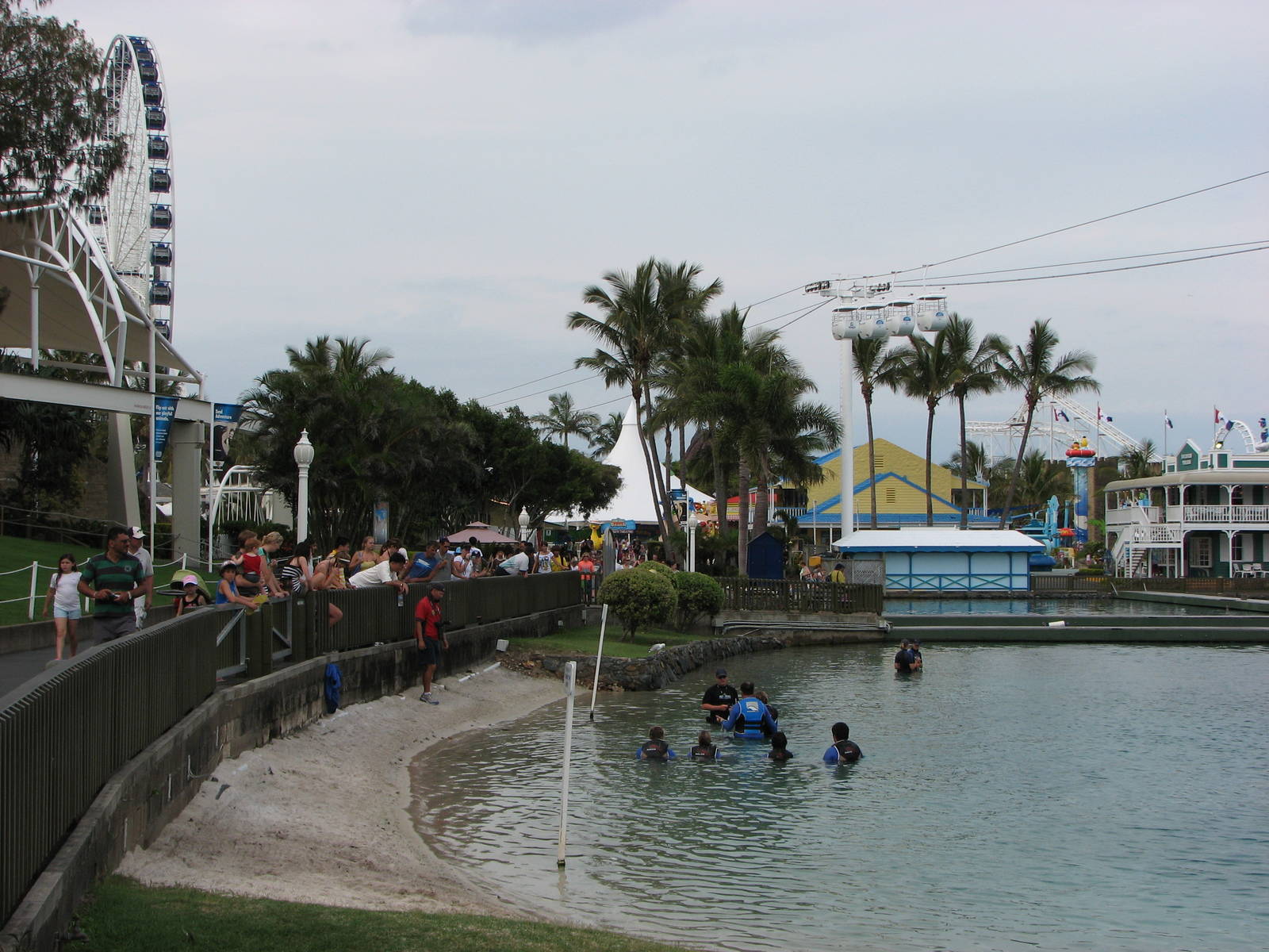 Sea World Gold Coast - Dolphin encounter