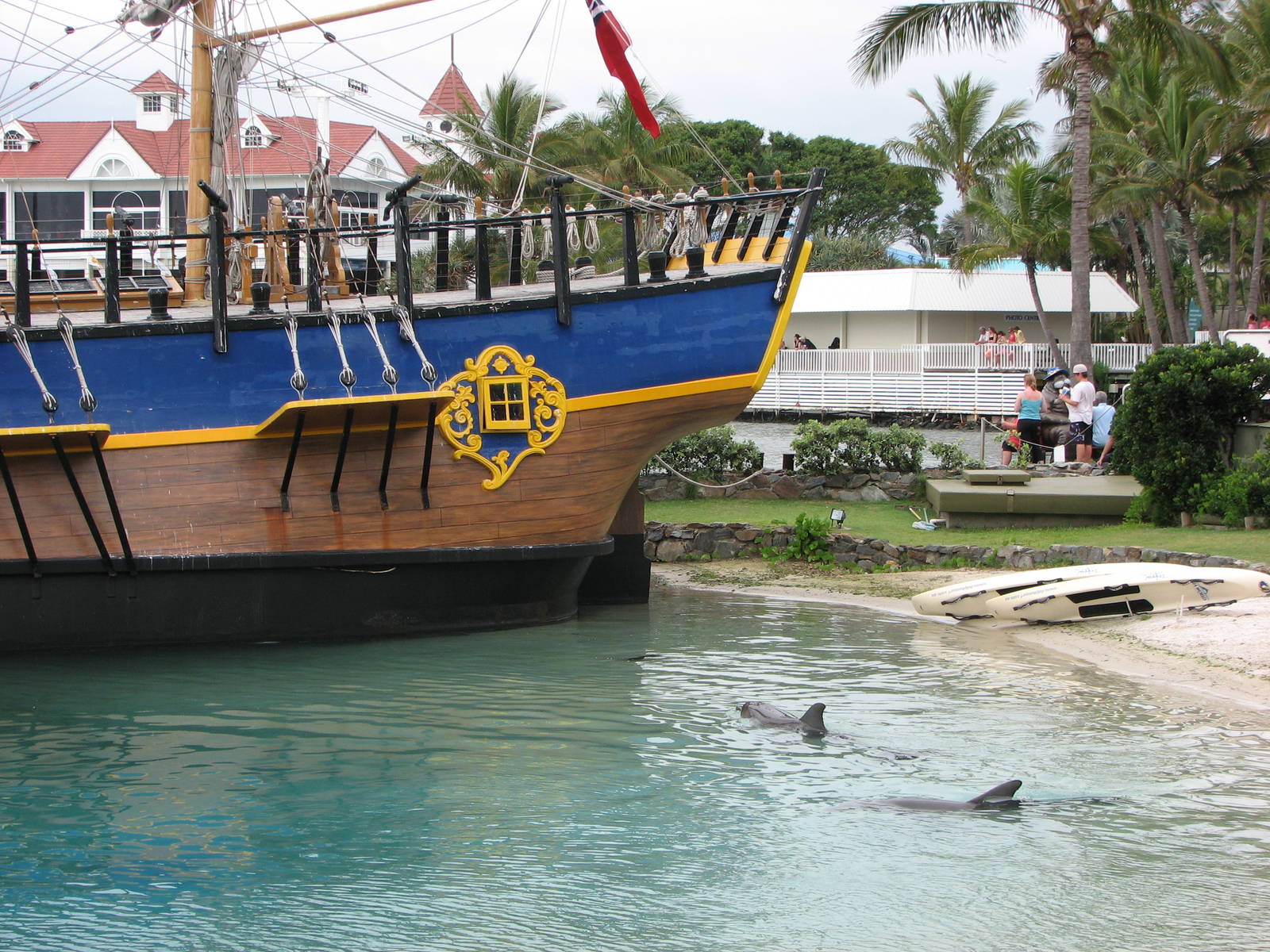 Sea World Gold Coast - Dolphin Lagoon