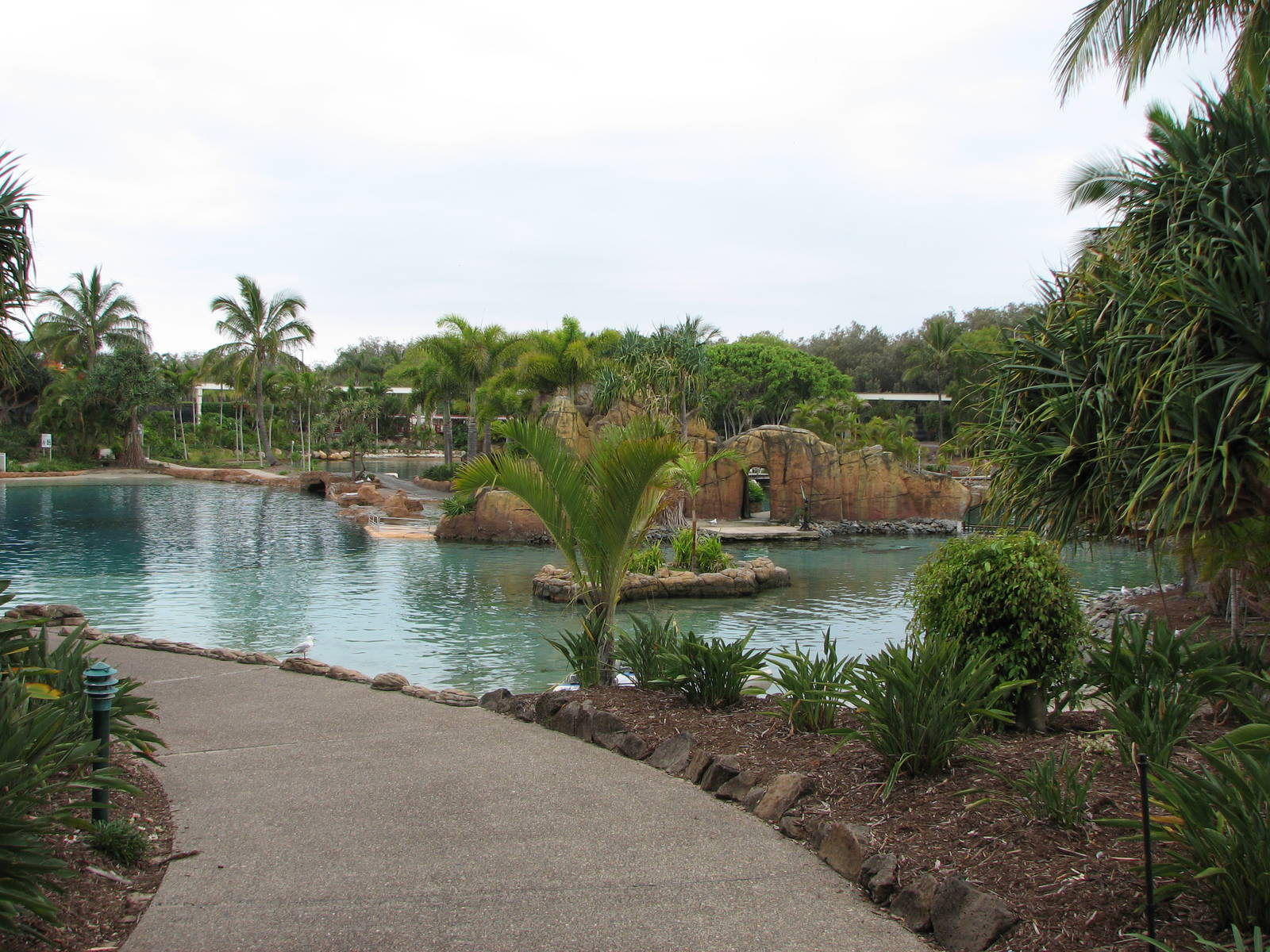 Sea World Gold Coast - Dolphin Lagoon